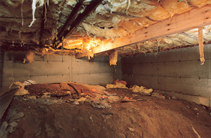 Before view of dirt Crawl Space in Edmonton